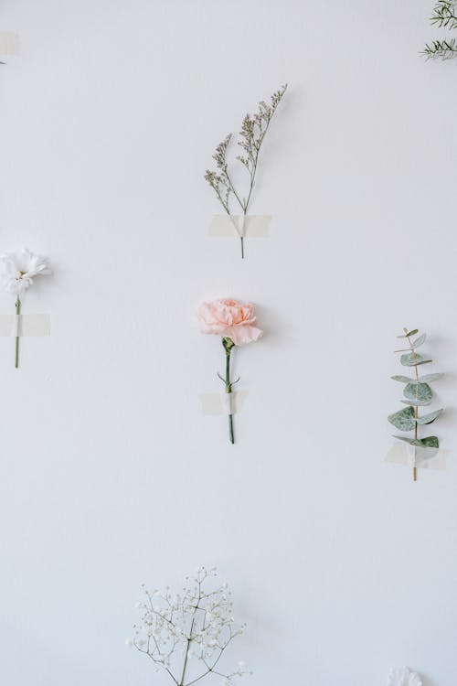 Blossoming carnation and white Chrysanthemum among assorted plant sprigs on thin stalks with adhesive tape