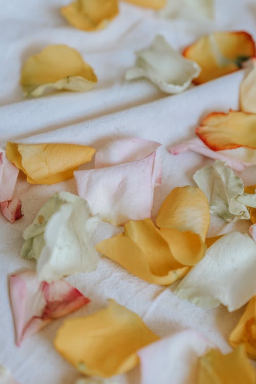 Different wavy gentle floral petals with pleasant smell on crumpled white cloth on blurred background