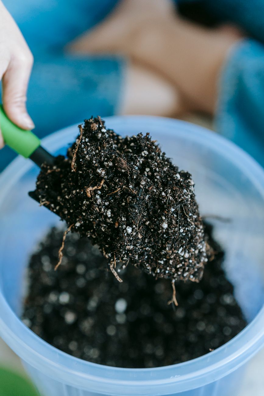 High angle of crop anonymous gardener with crossed legs showing soil on shovel above plastic container