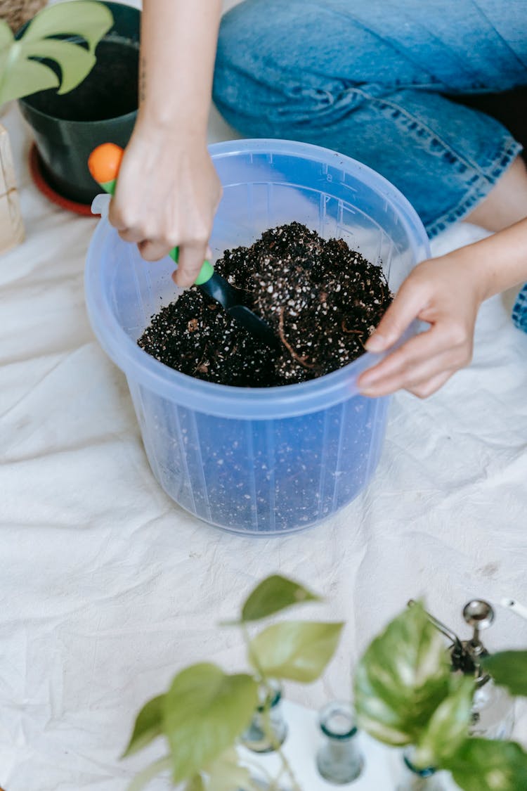 Crop Gardener With Shovel Hoeing Soil In Pot