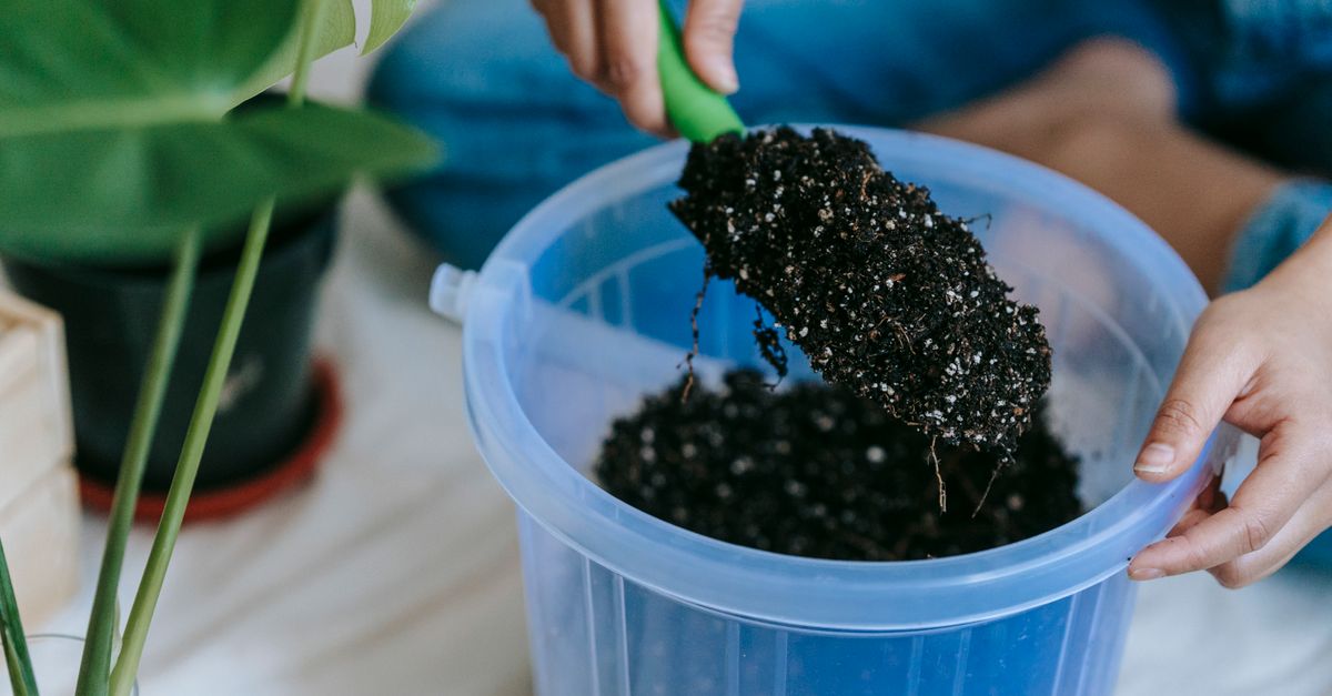 Mãos segurando uma pá com solo, preparando-se para o cuidado de plantas internas.