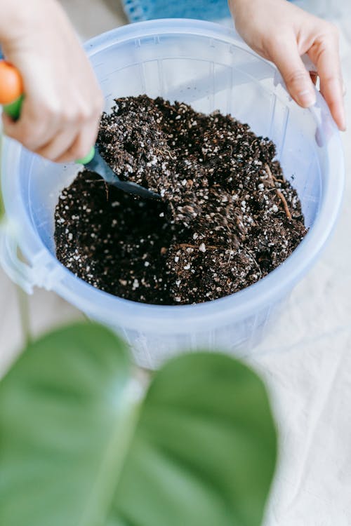 From above of crop anonymous female gardener with shovel loosening soil in pot for planting home plant