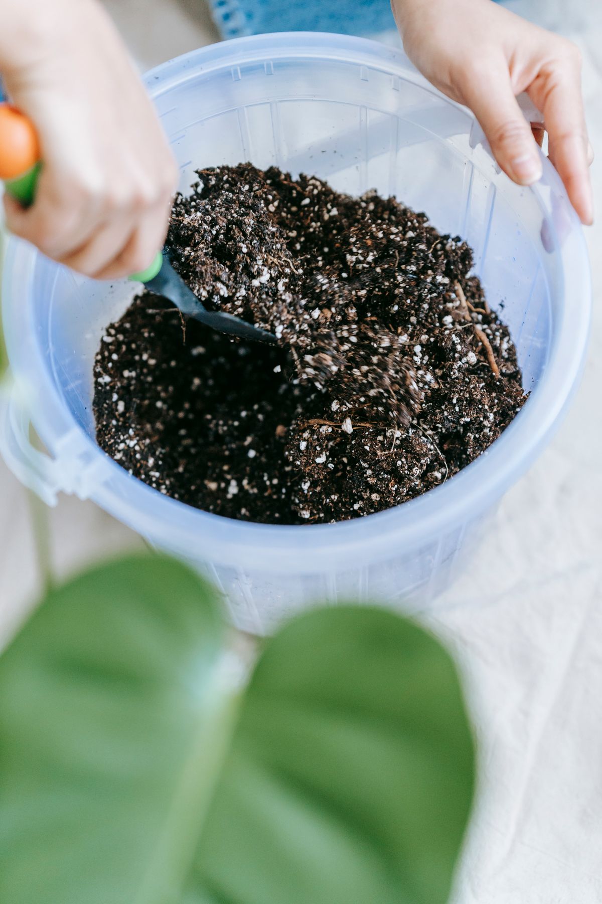 Pessoa preparando substrato para uma planta em vaso