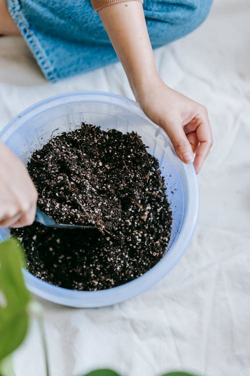 Woman with gardening tool preparing soil for plant