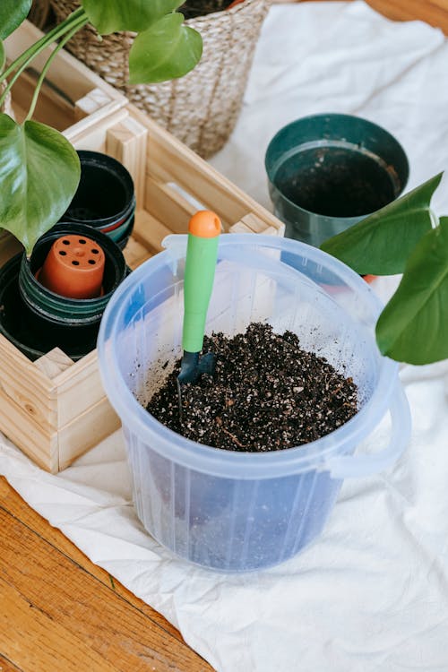 Free From above of plastic bucket of soil with spade placed near pots and plants on white fabric Stock Photo