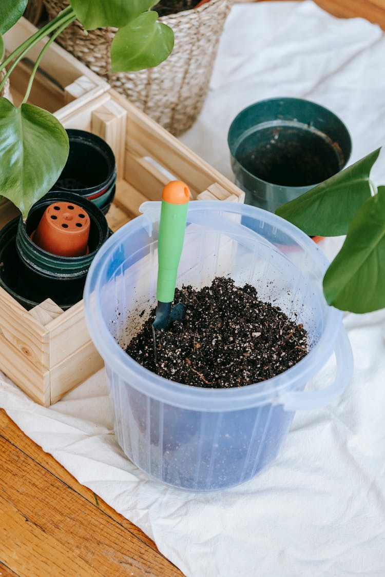 Bucket Of Soil With Gardening Tools And Plant