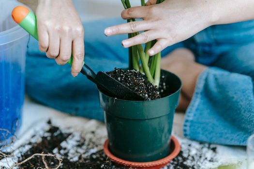 Crop anonymous female gardener in casual wear with shovel sitting on messy floor and planting home plant in pot