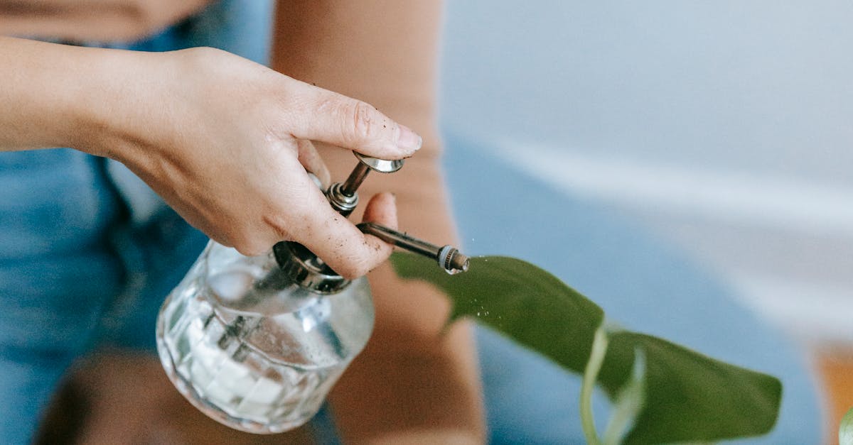 影 矢板明夫2014年預見黃國昌馮光遠內部布局 陣營中的抓耙仔安排揭秘