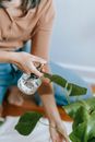 Crop anonymous female sitting on floor and spraying potted houseplant while doing housework routine
