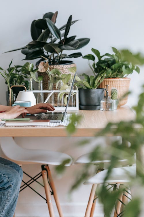 Side view of crop unrecognizable female using netbook at table with fresh verdant potted plants at table