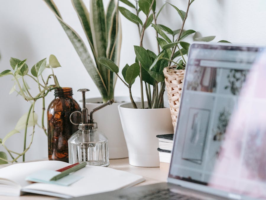 Photo by Teona Swift