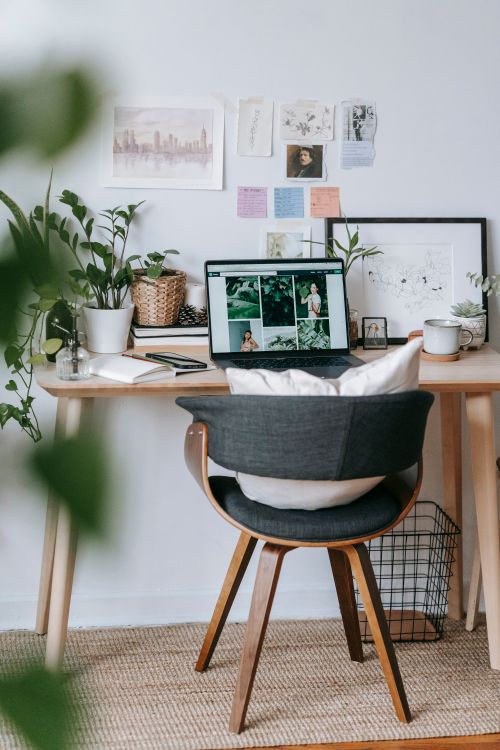 Free Modern workplace with table and green potted fresh plants near netbook in daylight Stock Photo