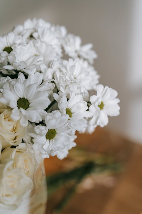 Bouquet with white chrysanthemums against light wall