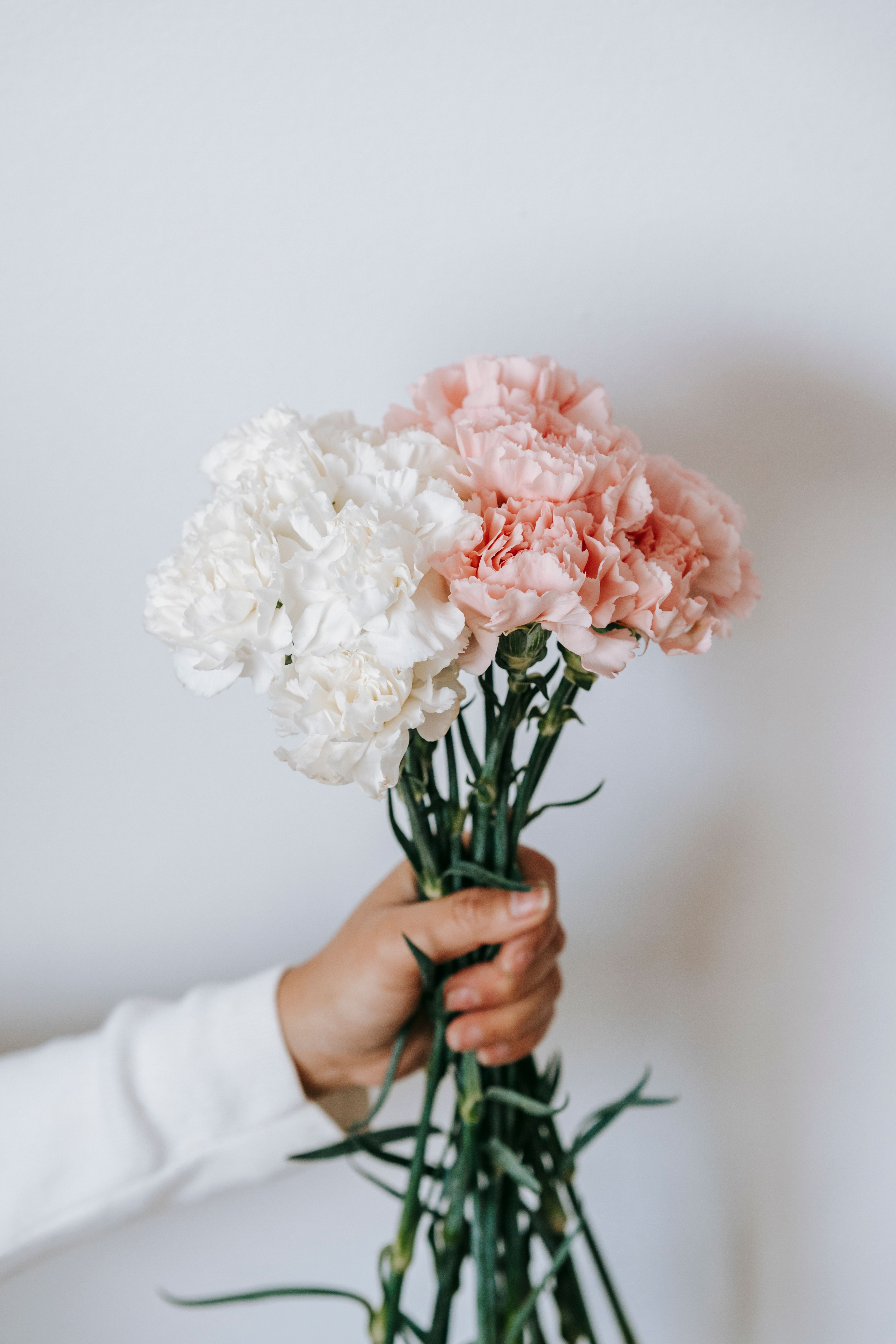 Hand holding a pastel pink and white bouquet