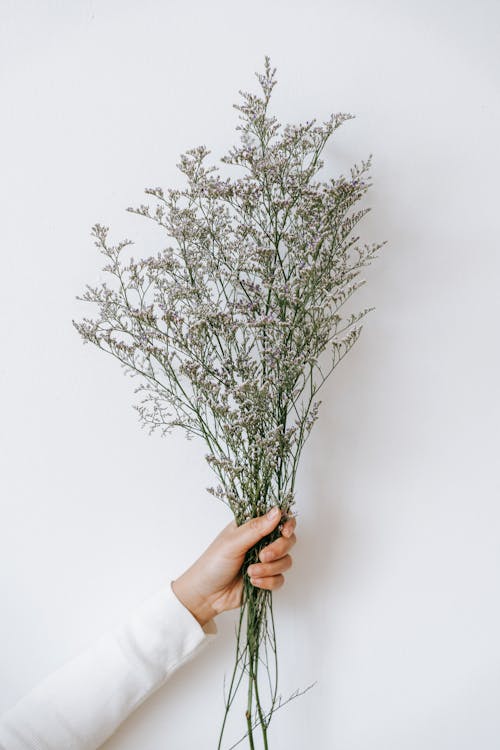 Free Crop anonymous female florist demonstrating bouquet of blooming flower in floral workshop against white background Stock Photo