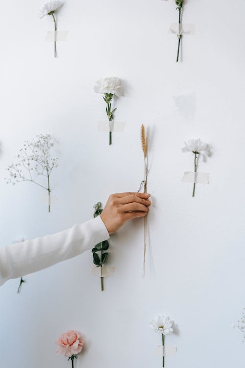 Woman attaching twig on white wall