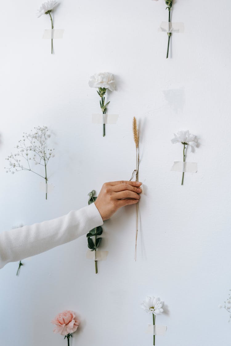 Woman Attaching Twig On White Wall