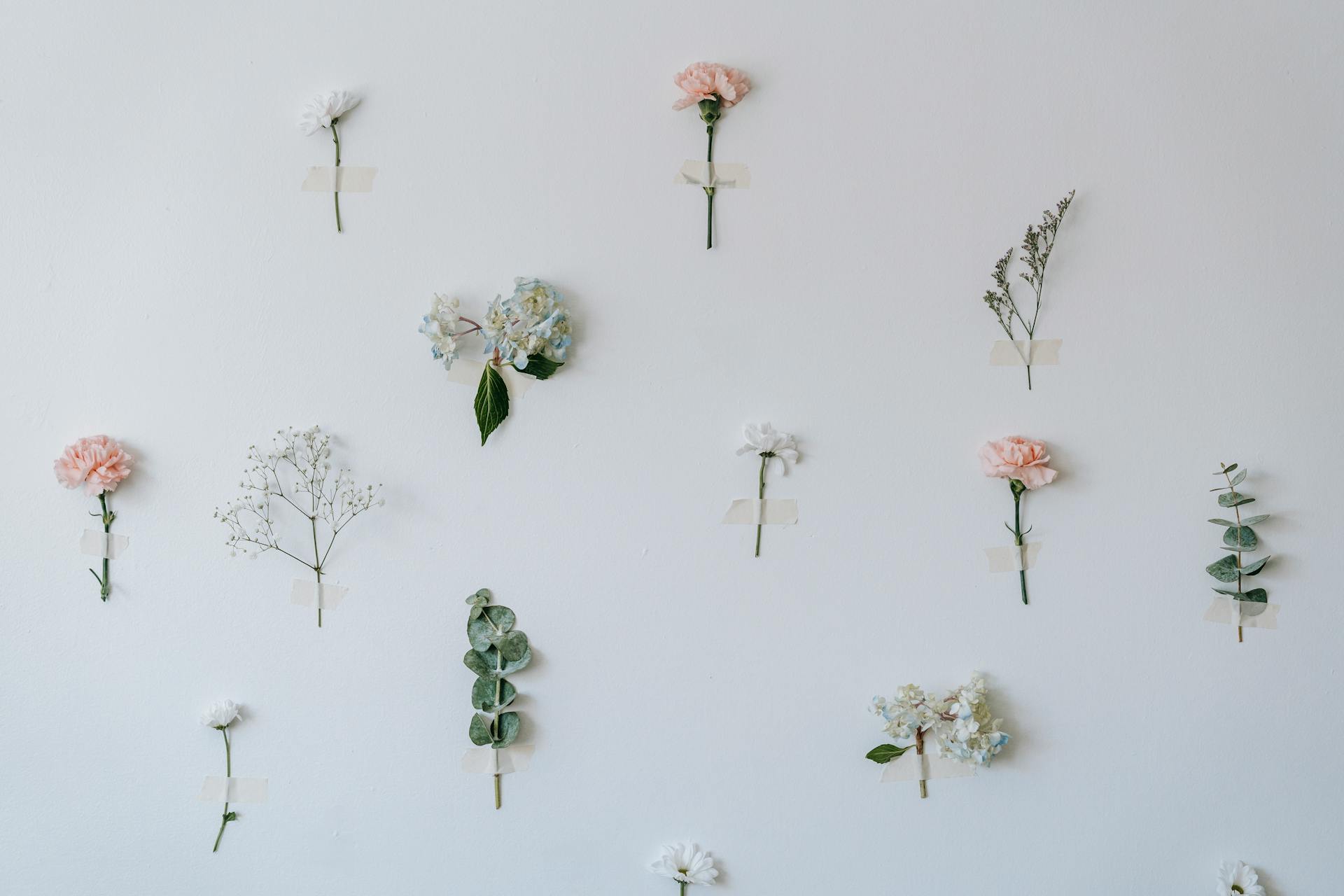 White wall with thin twigs and colorful roses near hydrangea plant attached with tape in light room of modern studio