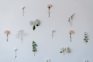 White wall with thin twigs and colorful roses near hydrangea plant attached with tape in light room of modern studio