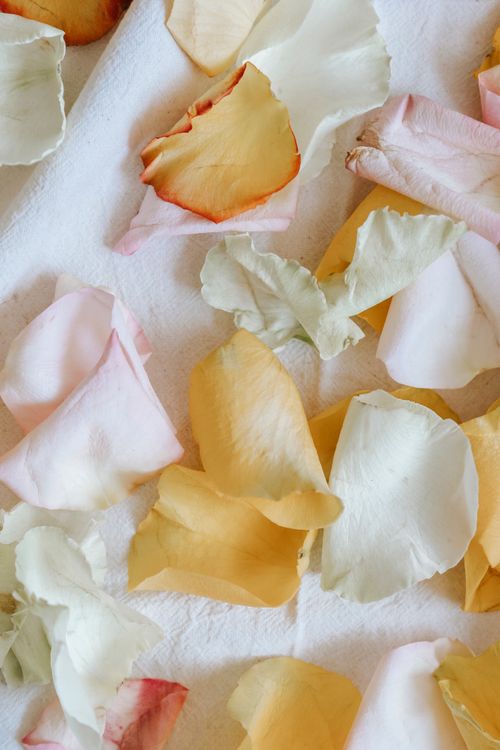 Free Top view abundance of colorful gentle aromatic petals of bright plants scattered on white fabric in light room at home Stock Photo