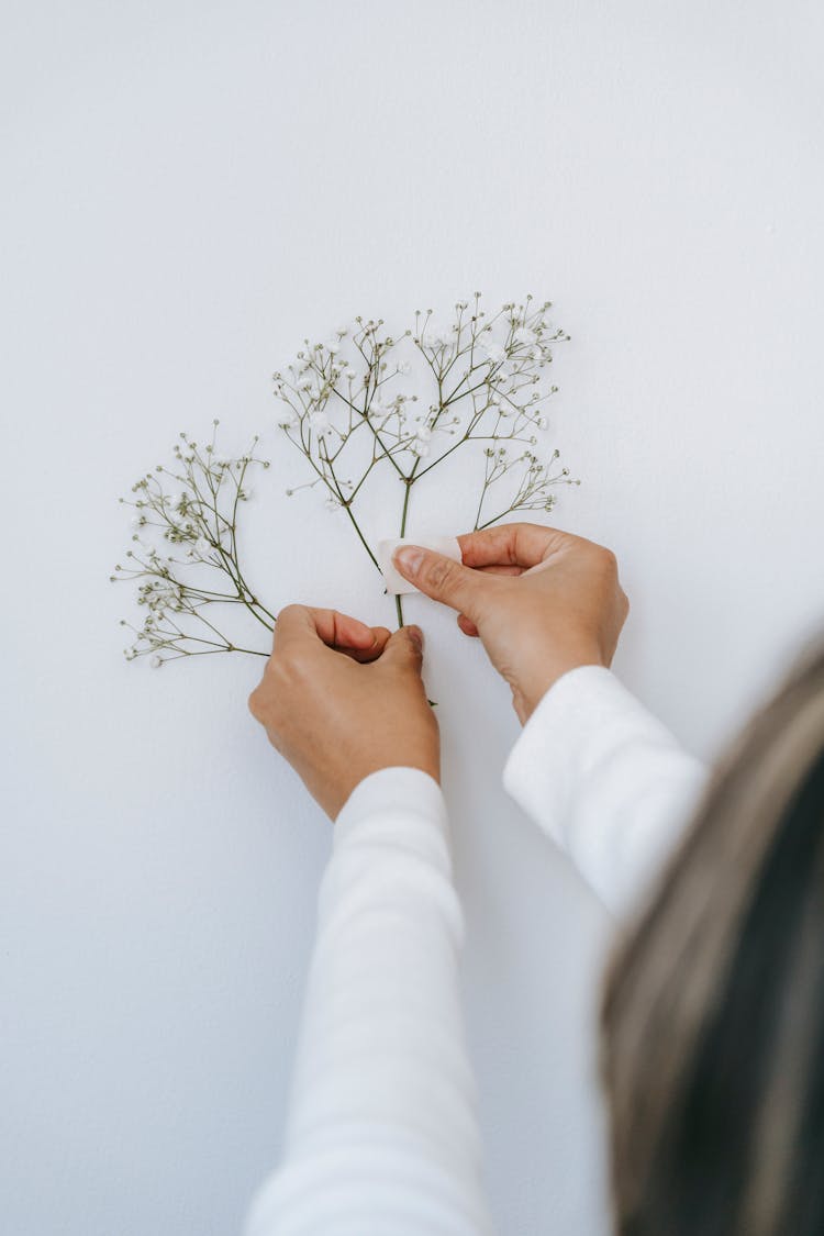 Unrecognizable Person Attaching Twig On Wall