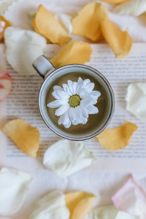 Top view of white chamomile in cup with tea placed on opened book on table with colorful petals in light room