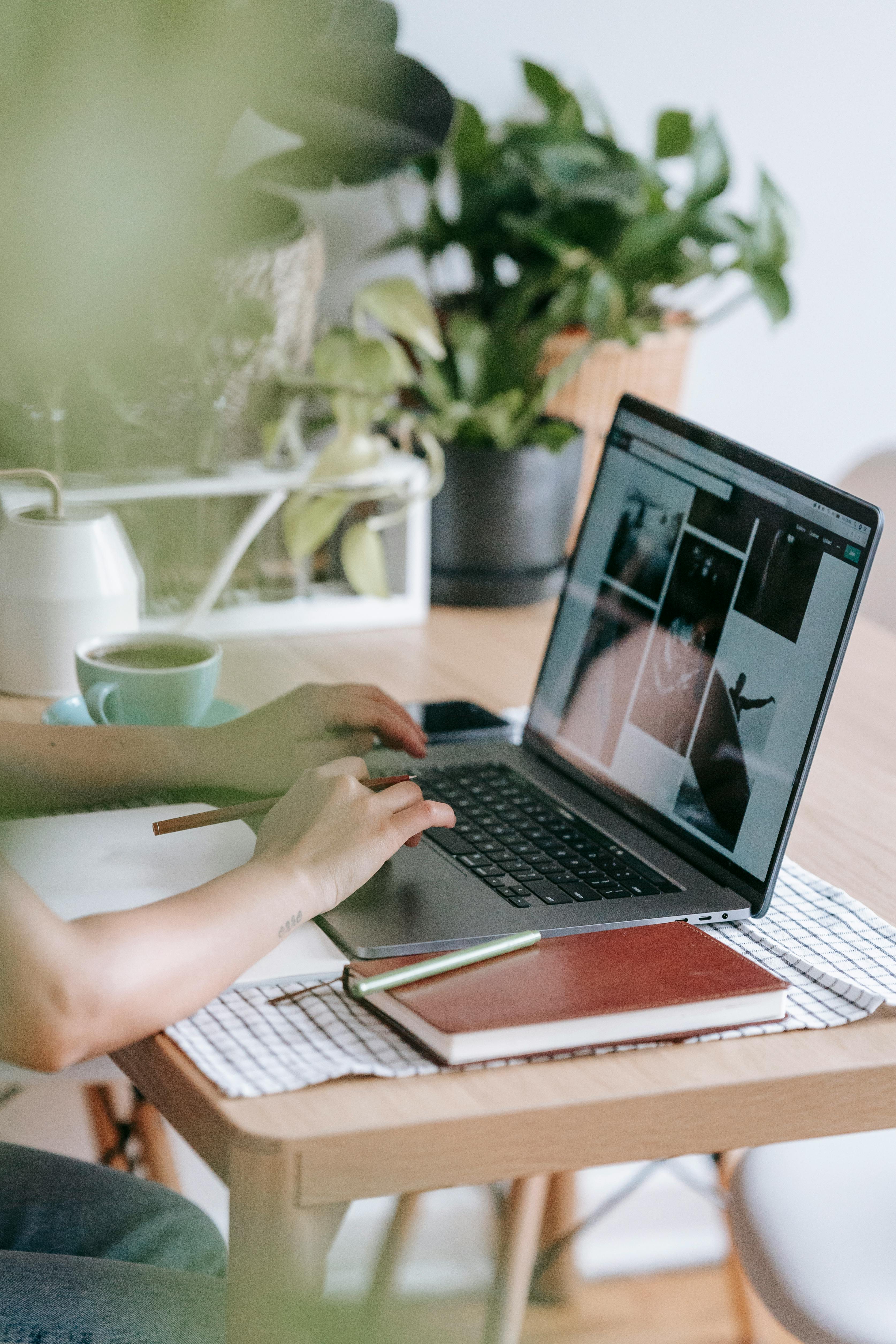 anonymous person browsing laptop near plants