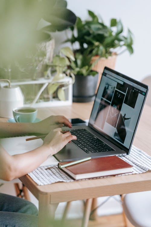 Free Crop unrecognizable freelancer typing on netbook while sitting at table with notebook and tea cup near potted green plants in light room Stock Photo