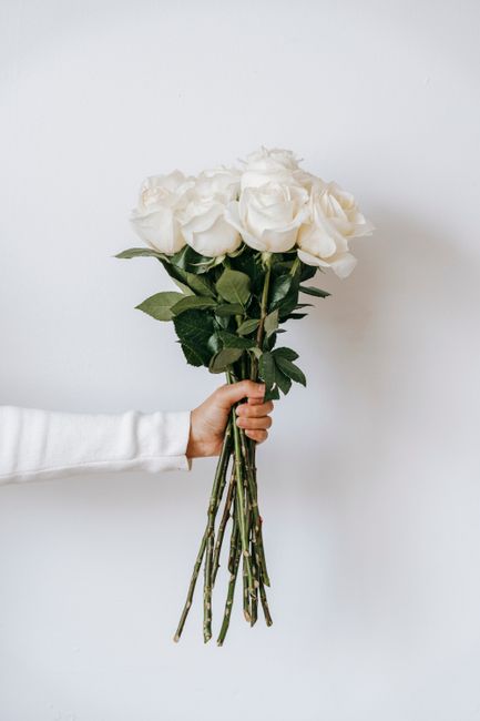 Crop unrecognizable person with bunch of white roses in hand on white background