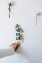 Crop florist attacking twig on wall