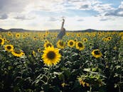 一位快乐的女子站在生机勃勃的向日葵田间，向着明亮的天空伸展
