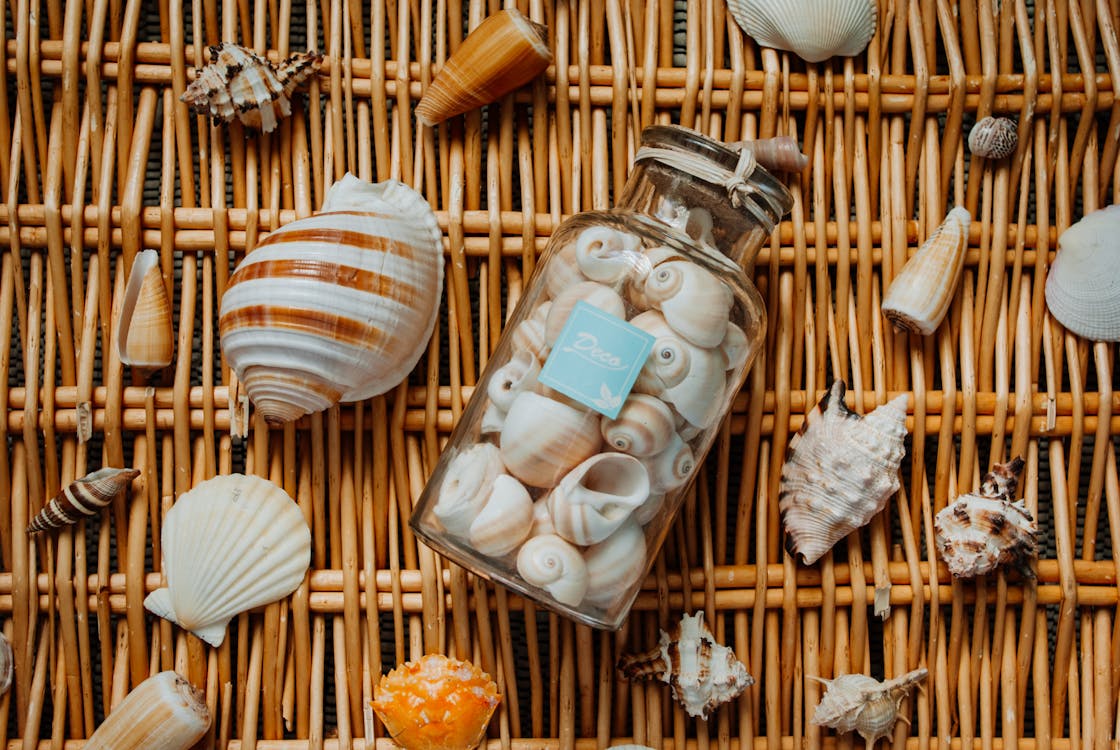 Different seashells from vacation on wicker mat · Free Stock Photo