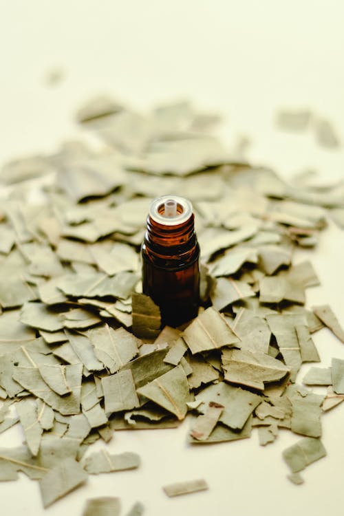 Brown Bottle on Brown Dried Leaves