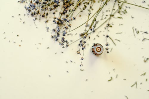Essential Oil Bottle Near Dried Flowers on White Surface