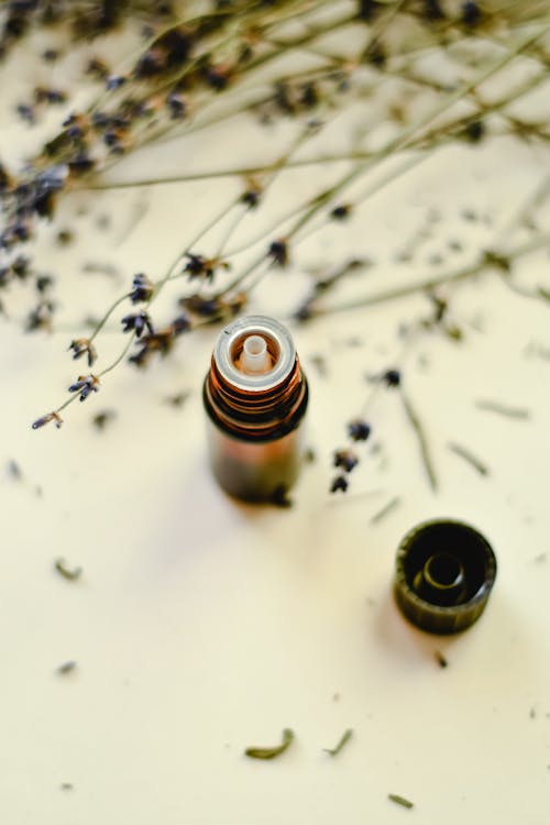 Black Bottle with Dried Flowers