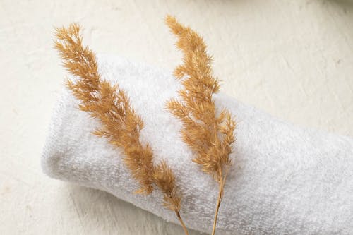 Close-Up Shot of Pampas Grass on Rolled White Towel