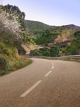 Serene winding road amidst lush greenery and hills in Huesca, perfect for tranquil travel experiences.