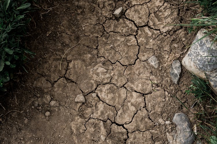 Photo Of A Dried Mud