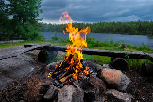 Gratis stockfoto met brand, brandend hout, brandhout