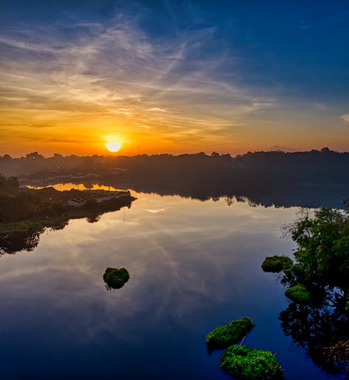 Immagine gratuita di acqua, alba, alberi