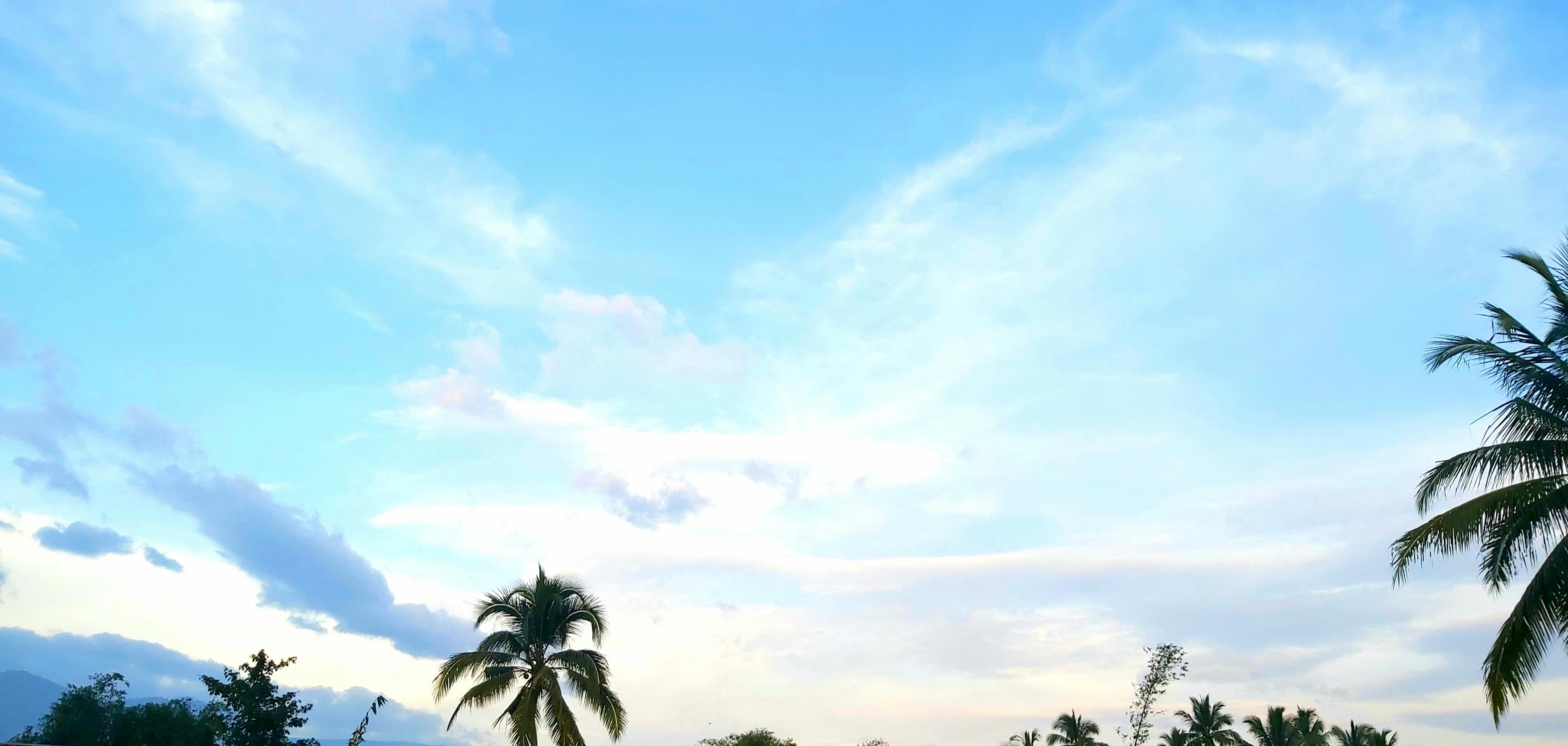 Conseils en Nutrition et Ration Ménagère