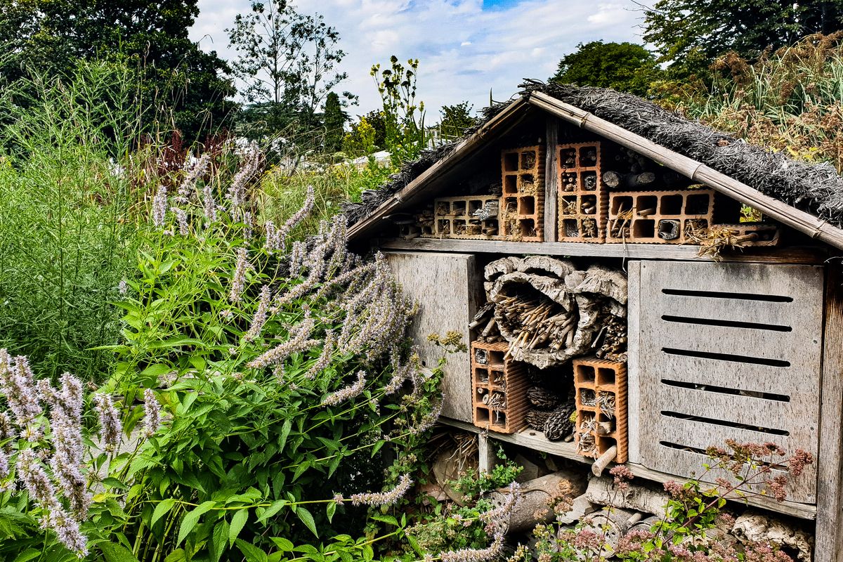 Hôtel à insectes : le construire soi-même - Fabriquer un hôtel à insectes simple, solide et fonctionnel