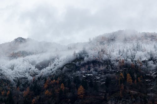 Berg Omgeven Door Bomen Met Sneeuw