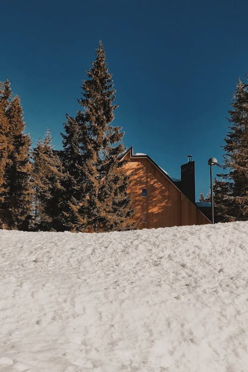 Snow Covered House Front Yard Near Pine Trees