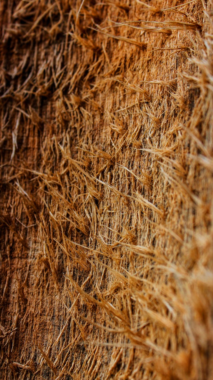 Close Up Shot Of Wood Fibers