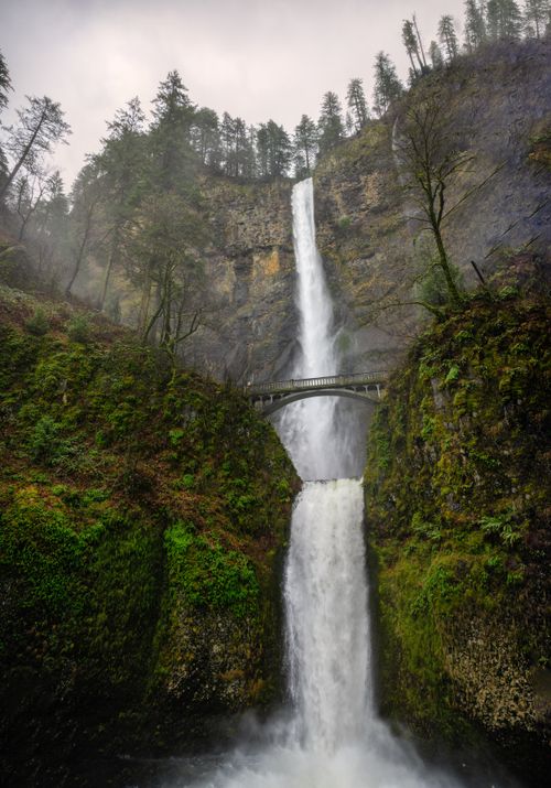 Free Breathtaking view of Multnomah Falls cascading over mossy rocks in spring. Stock Photo