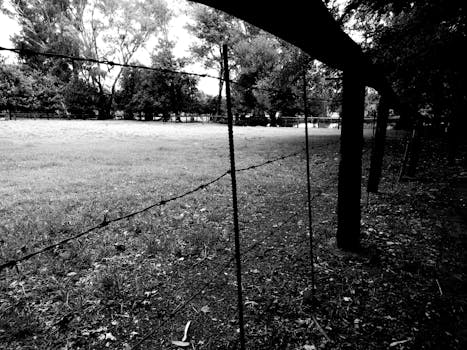 黑色和白色的风景中，有铁丝网围栏、树木和开阔的田野