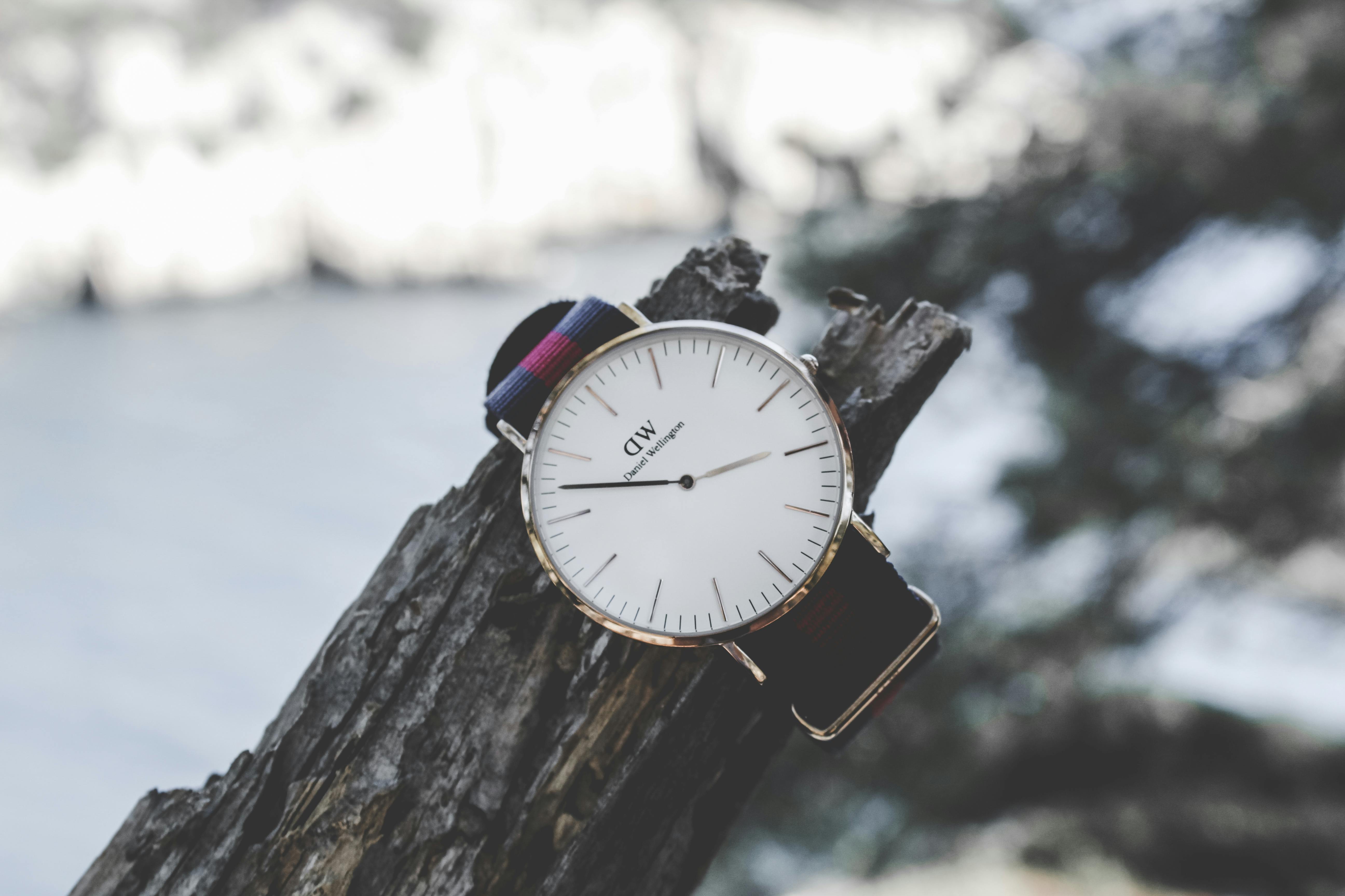 Free stock photo of bois, calanque, cassis, daniel wellington