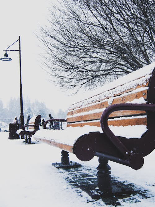 下雪, 下雪的, 公園 的 免费素材图片