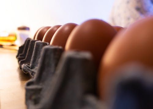 Ingyenes stockfotó csirke tojás, tojások témában